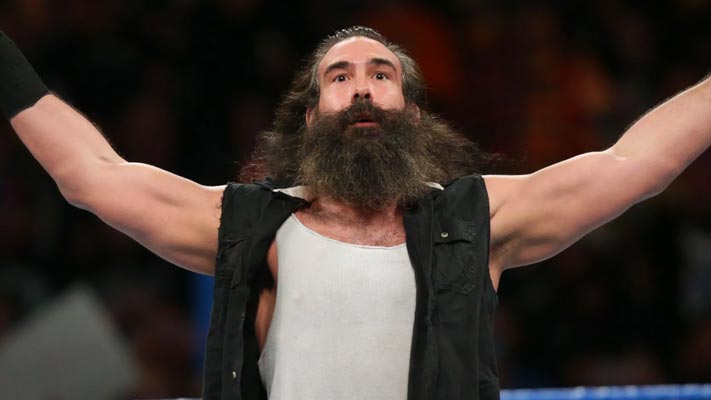 brodie lee luke harper