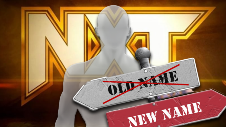 Popular Indie Star Debuts Before WWE NXT With A New Name